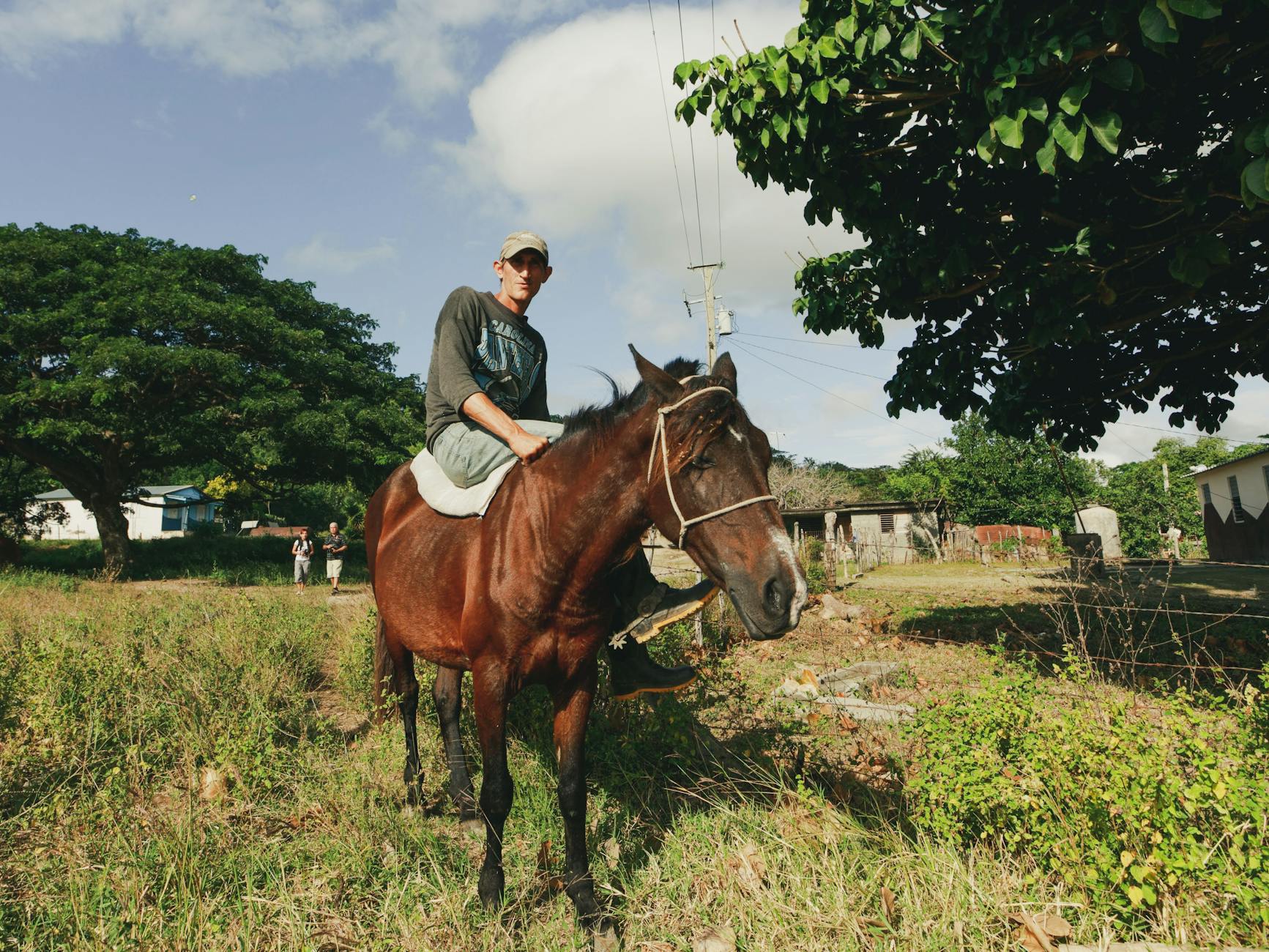 Jeździec na koniu na wiejskiej drodze w okolicach Poznania