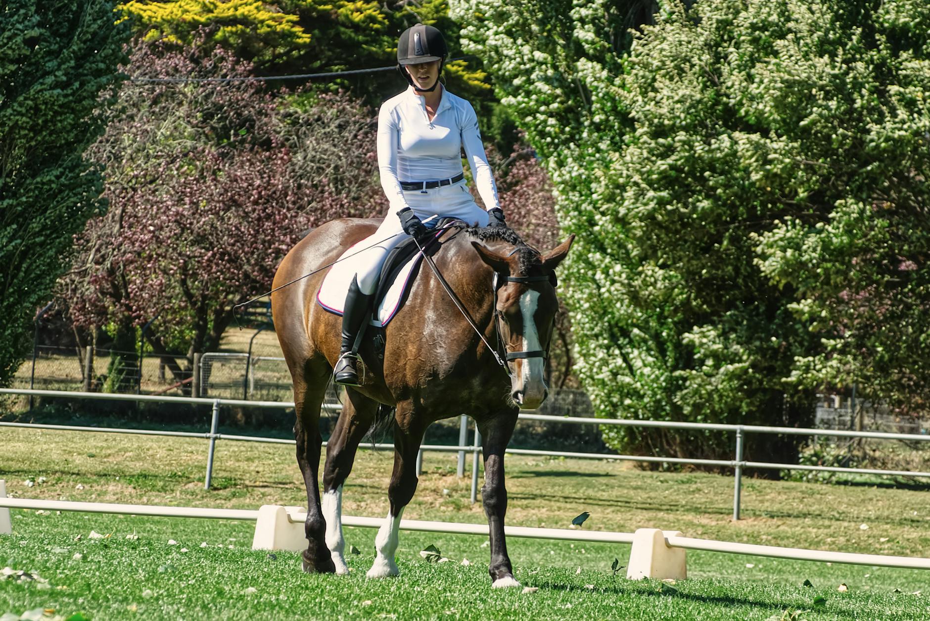 Jeździec w legginsach trenuje konia na słonecznym placu treningowym