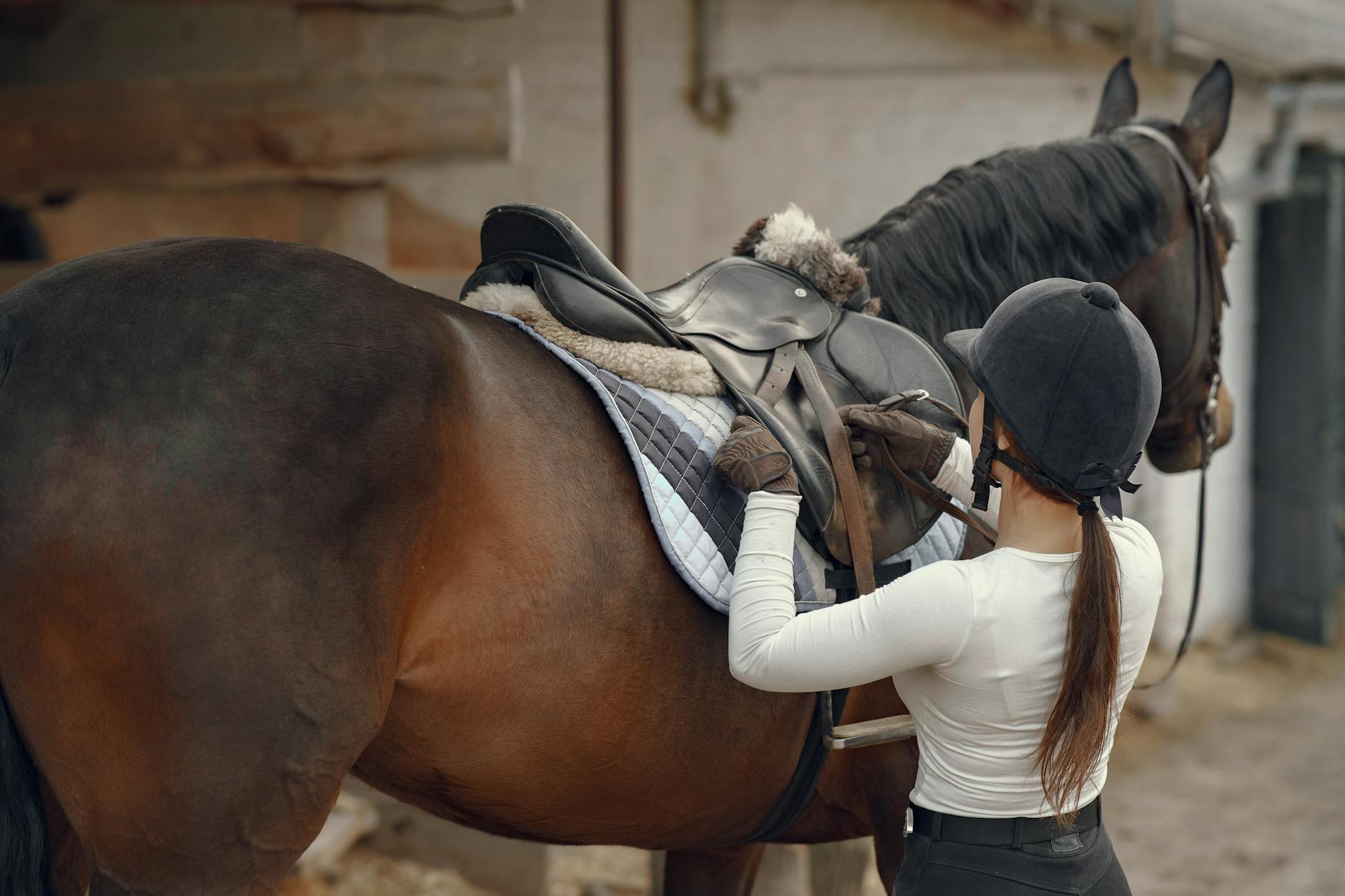 Kobieta siodła konia w stajni przed jazdą