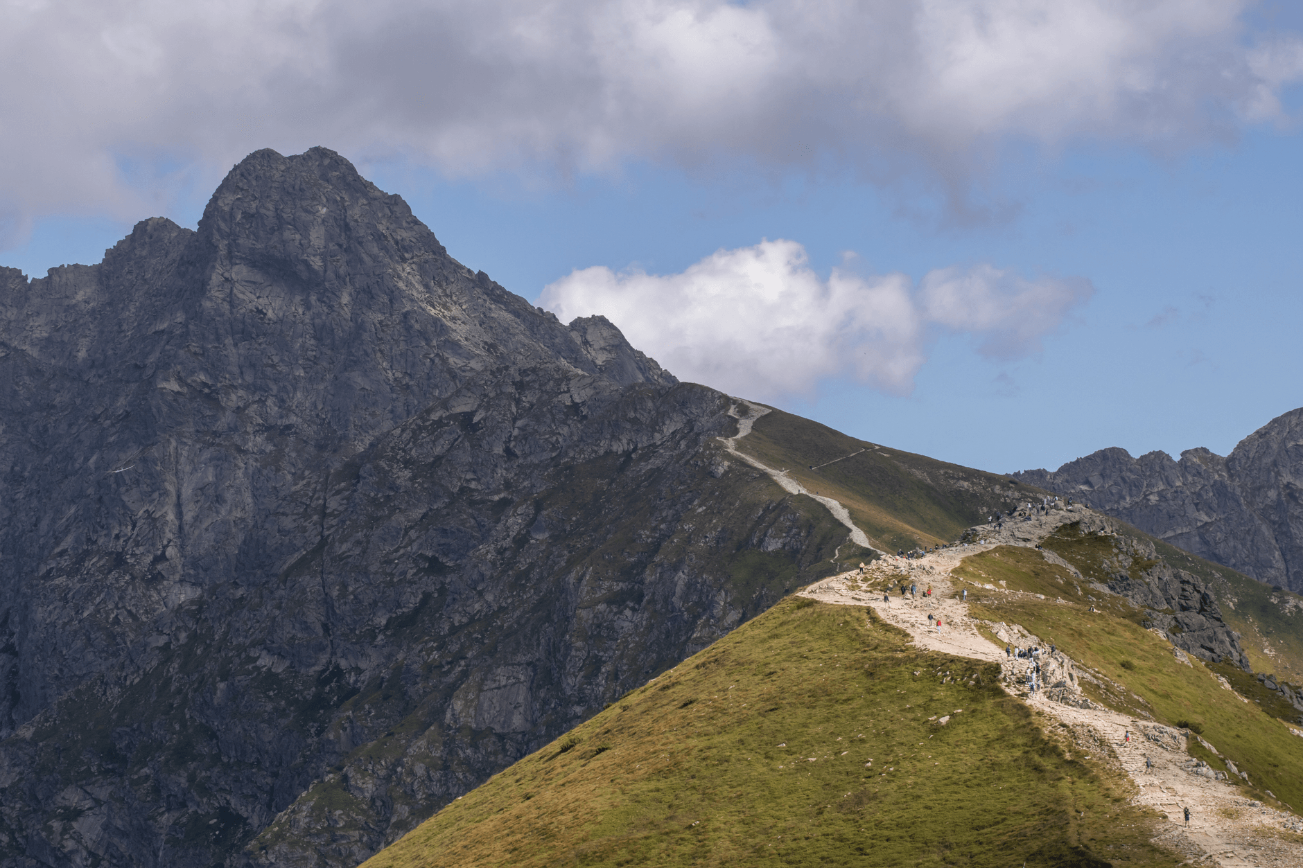 Turyści idący górskim szlakiem z widokiem na Tatry